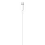 APPLE USB-C TO LIGHTNING CABLE (1 M)