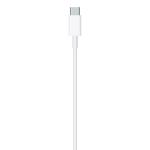 APPLE USB-C TO LIGHTNING CABLE (1 M)