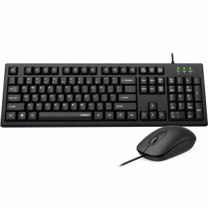 RAPOO USB KEYBOARD WITH MOUSE X120PRO