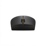 LENOVO WIRELESS MOUSE 300