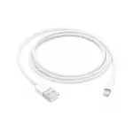 APPLE LIGHTNING TO USB CABLE (2M)