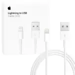 APPLE LIGHTNING TO USB CABLE (2M)