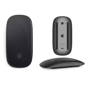 APPLE MAGIC MOUSE2 GREY
