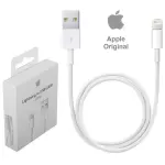 APPLE LIGHTNING TO USB CABLE (1M)