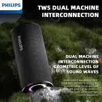 Philips TAS3150 Outdoor Speaker