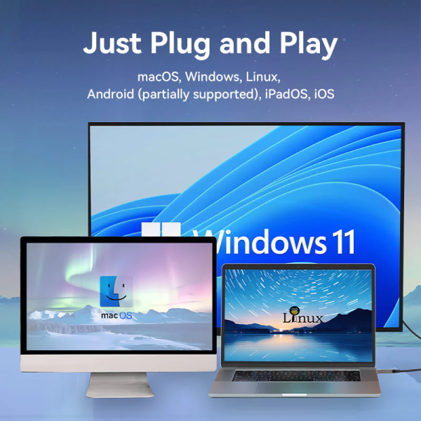 Cotton Braided USB-C to DP 8K Converter 0.25M Black Zinc Alloy Type