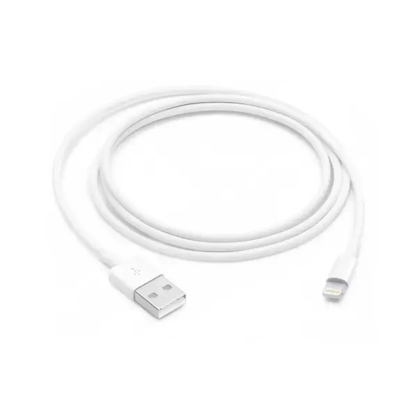 APPLE LIGHTNING TO USB CABLE (2M)