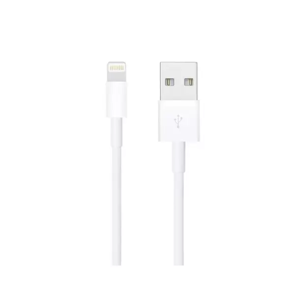 APPLE LIGHTNING TO USB CABLE (2M)