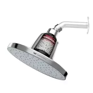 SHOWER HEAD WITH FAN