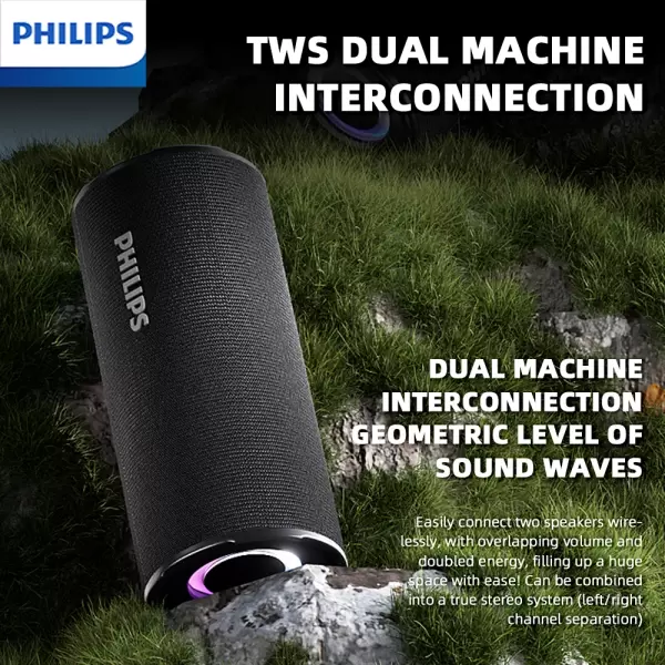 Philips TAS3150 Outdoor Speaker